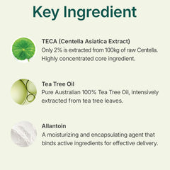 Centellian 24 Madeca Powder Tea Tree AC snowflake micro-powder melts into skin.