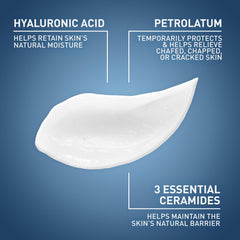 CeraVe ingredient focus ceramides and hyaluronic acid for barrier support