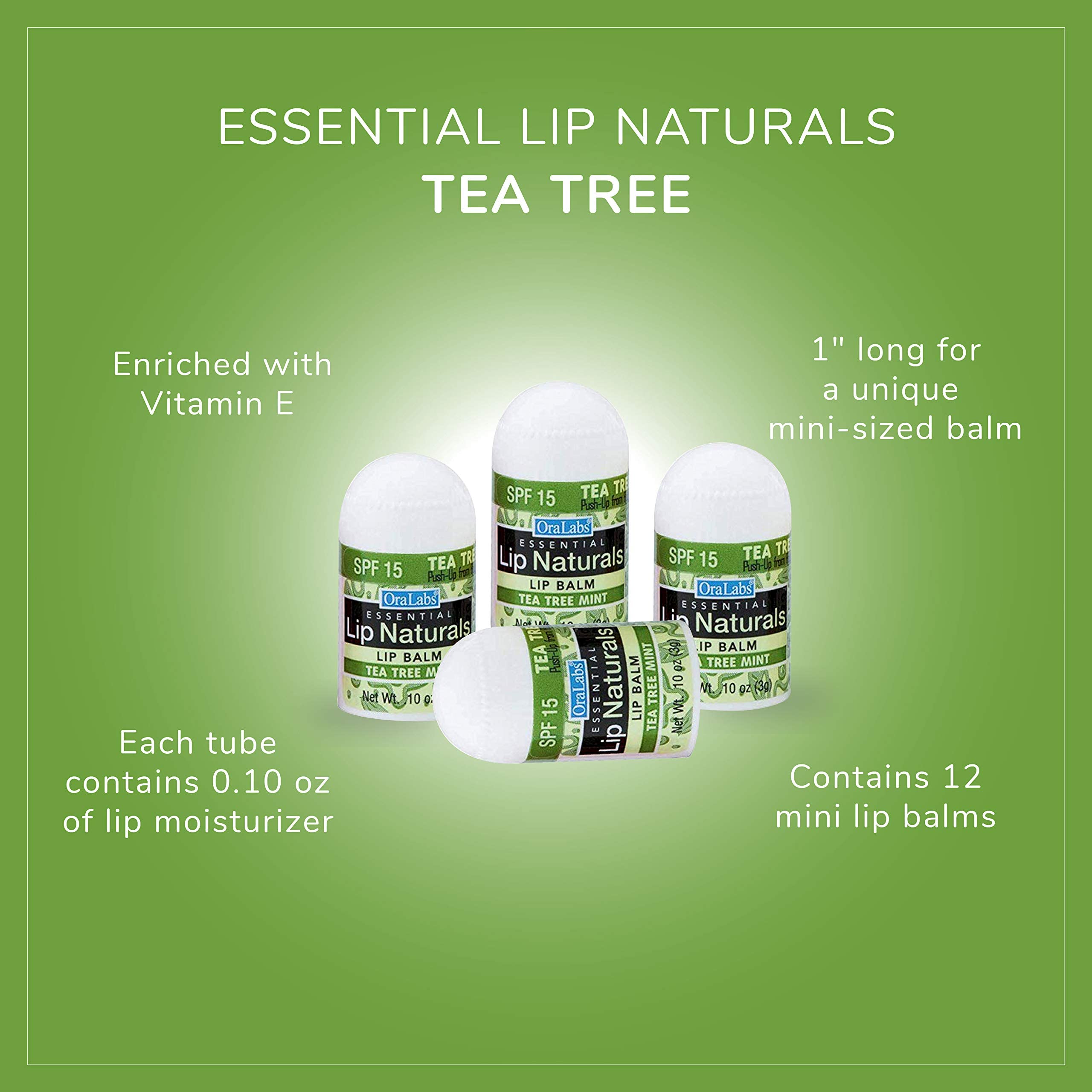 CHAP-ICE Lip Naturals 12-pack opened — organized back-up lip care