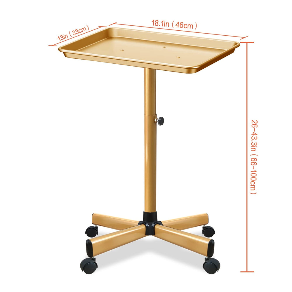 Chetunju Colden salon tray in-use as a mobile work station.
