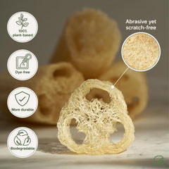 Chill Ah loofah sponge in hand demonstrates comfortable size for daily cleansing.