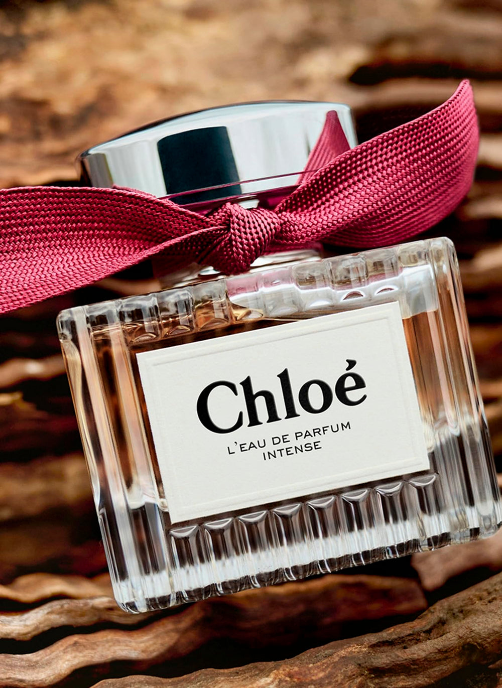 Chloé L'Eau de Parfum Intense cedarwood base image signals timeless depth