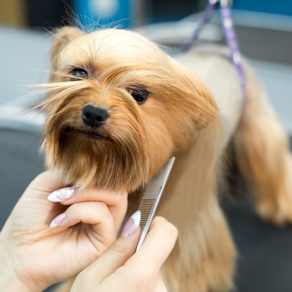Chris Christensen Face and Feet Buttercomb in hand for small-breed grooming