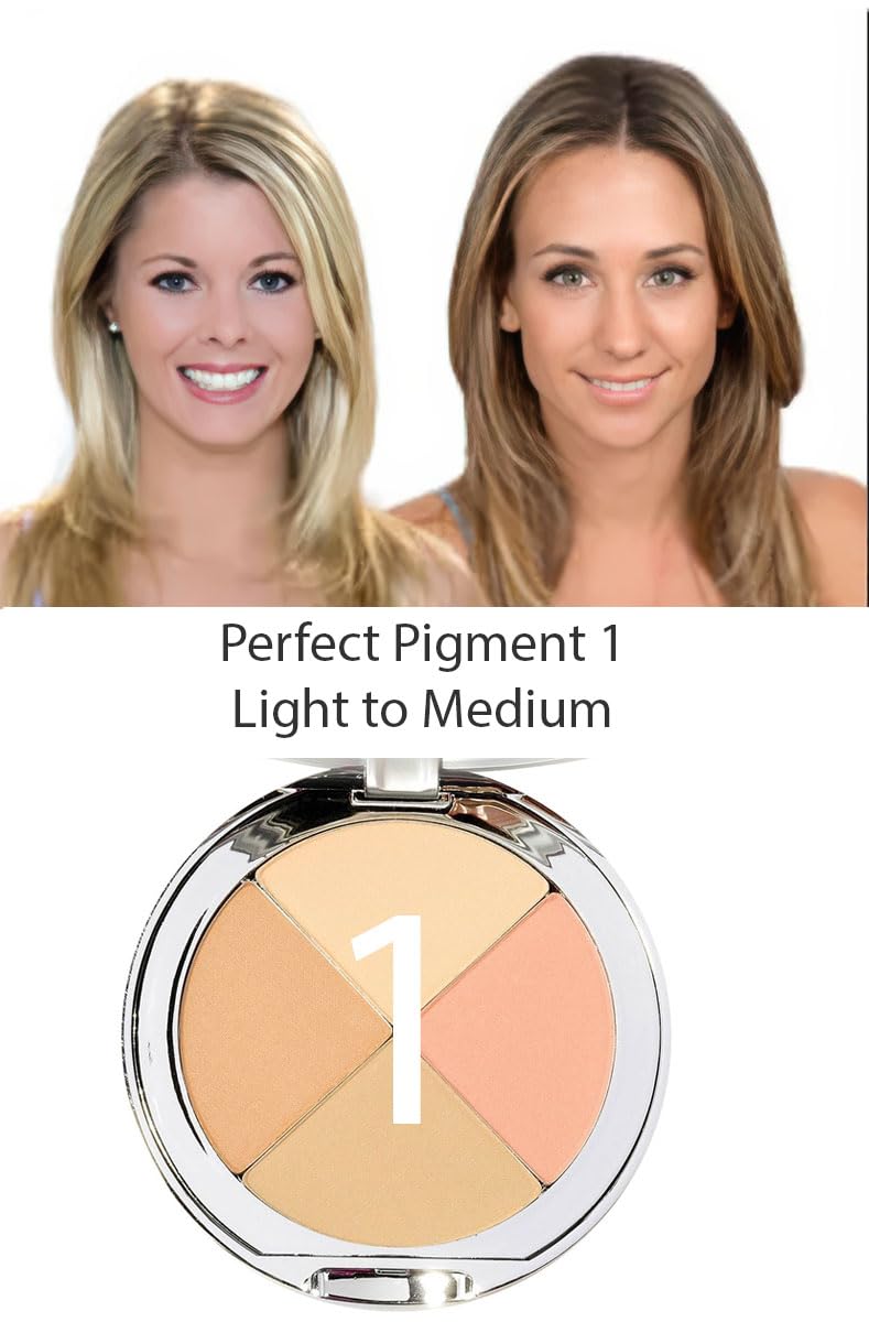 Christina Cosmetics Perfect Pigment 1 compact swirl with Retractable Brush multitasking