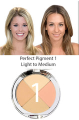 Christina Cosmetics Perfect Pigment 1 compact swirl with Retractable Brush multitasking