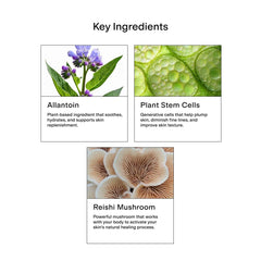 CLEARSTEM CELLRENEW ingredients green tea and reishi provide antioxidant support for balanced skin