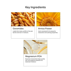CLEARSTEM Hydraberry ingredient blend highlights ceramides, arnica, and magnesium PCA.