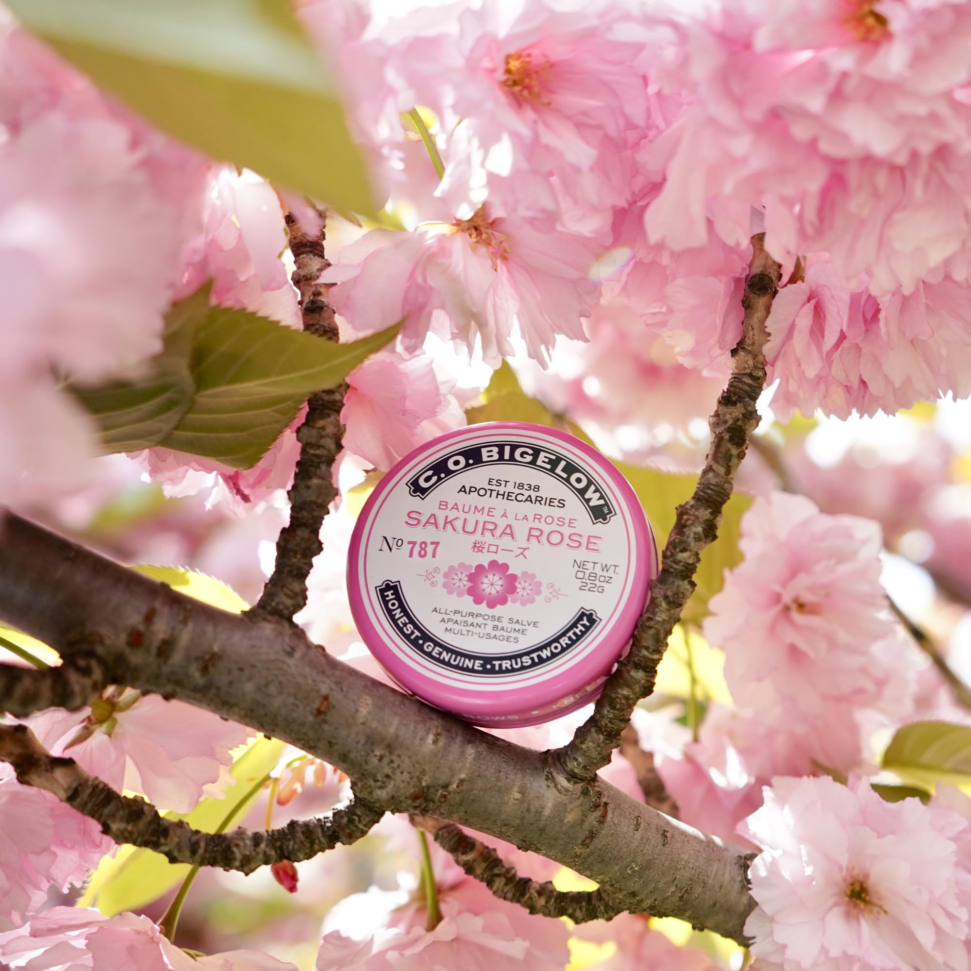 C.O. Bigelow Sakura Rose Salve tin for elbows and knees with hydration.