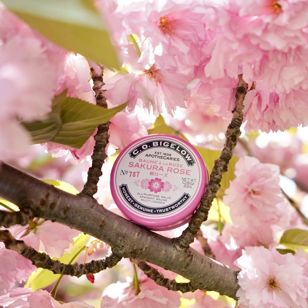 C.O. Bigelow Sakura Rose Salve tin for elbows and knees with hydration.
