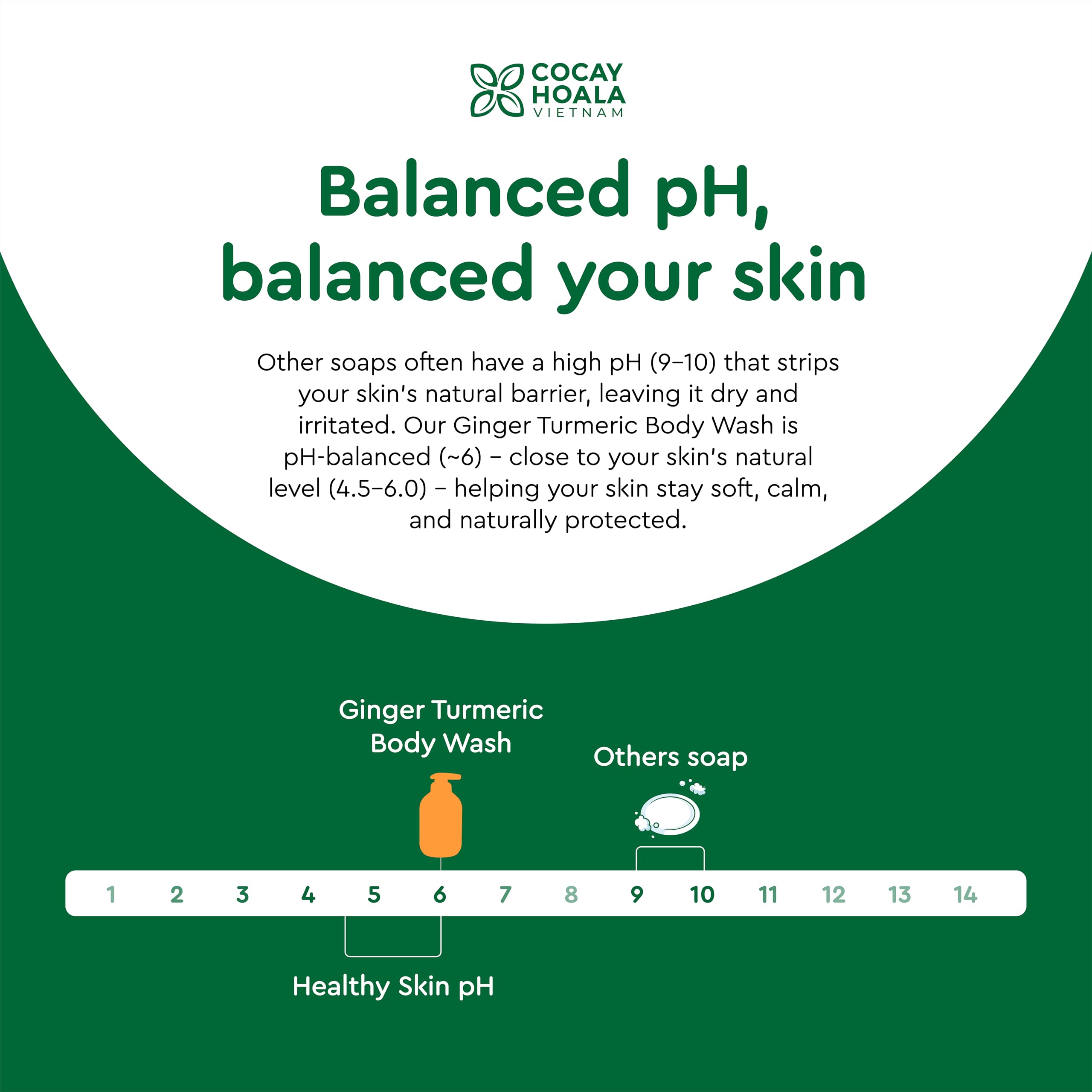 COCAY HOALA VIETNAM centella asiatica presence for nourishment and calm skin