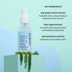 Cocokind blue algae extract product showing smoother skin texture