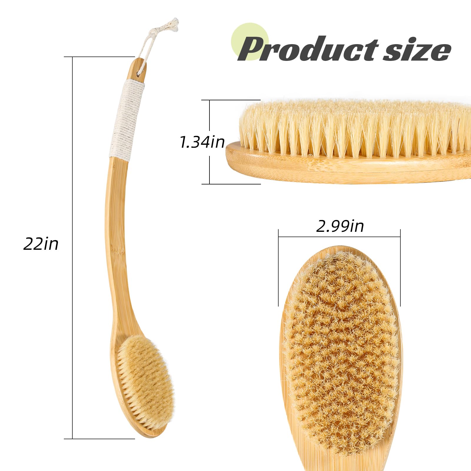 COINPOTIA natural-bristles-moderately-soft provides gentle exfoliation