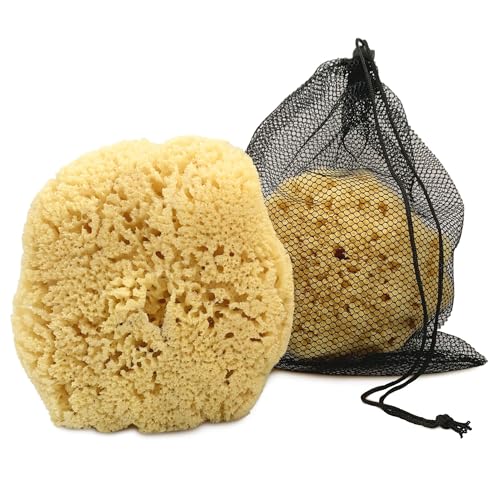 Constantia Beauty Real Sea Sponge for Men 6-7 inch ideal for easy grip and gentle exfoliation