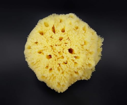 Constantia Beauty sea sponge sourced responsibly eco friendly and renewable