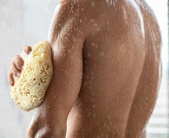 Constantia Beauty sea sponge in shower or bath for exfoliating luxury