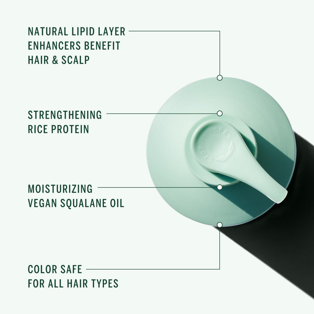 Corpus Cypress Shampoo lather demonstrates gentle cleansing for daily use.