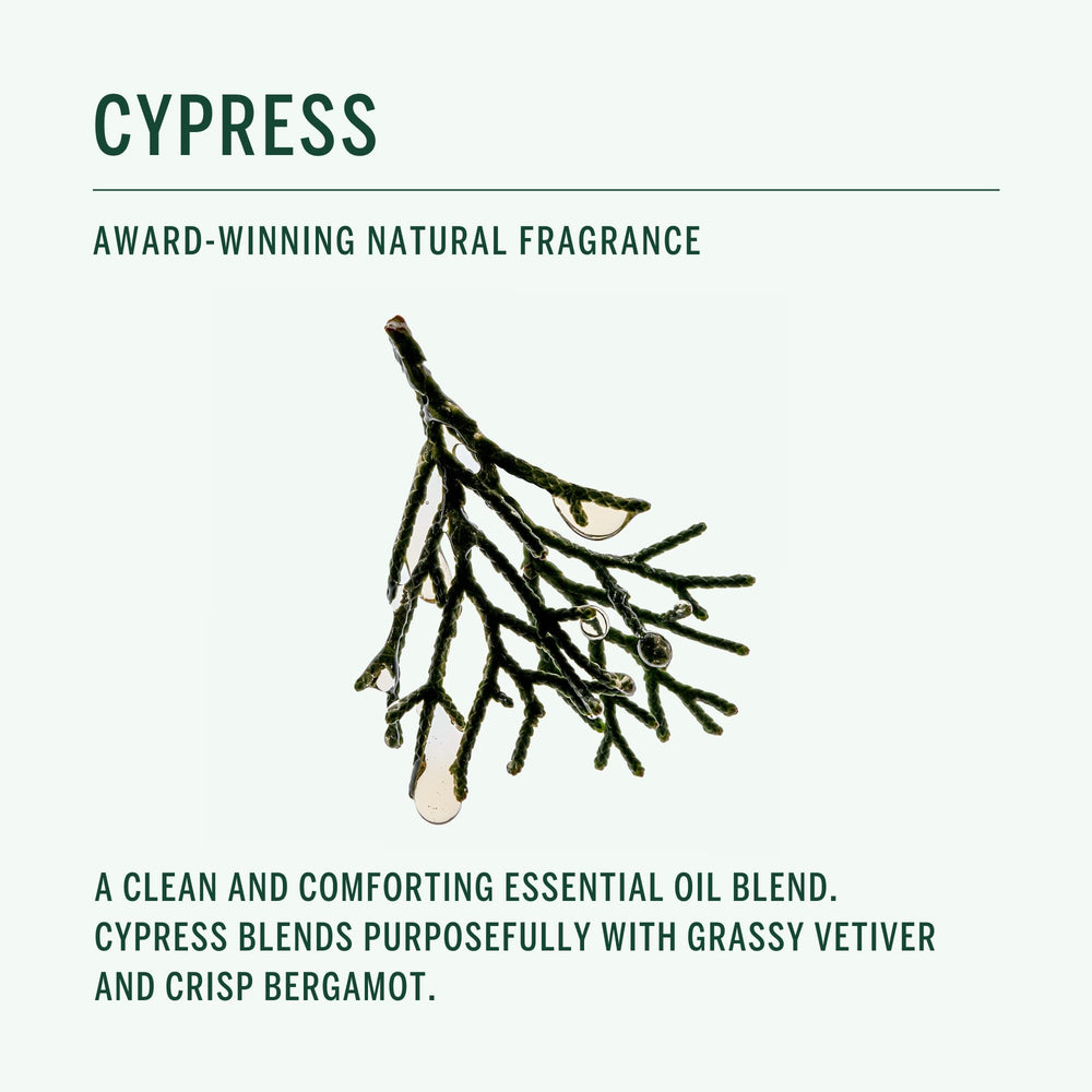 Corpus Cypress Shampoo scent profile blends Cypress and Bergamot for refreshing calm.