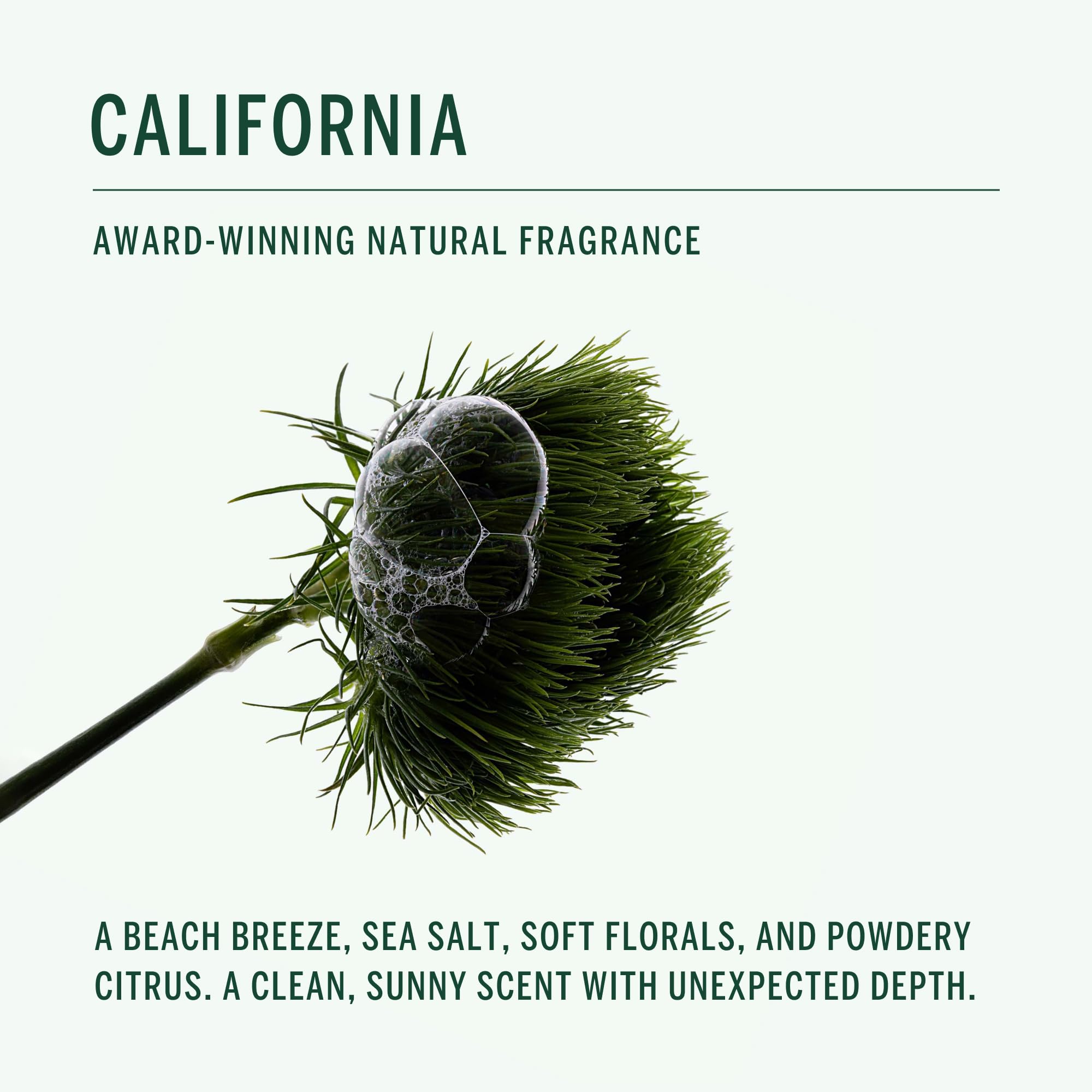 Corpus sensitive skin test showcases gentle, allergy-friendly formula without aluminum or baking soda.
