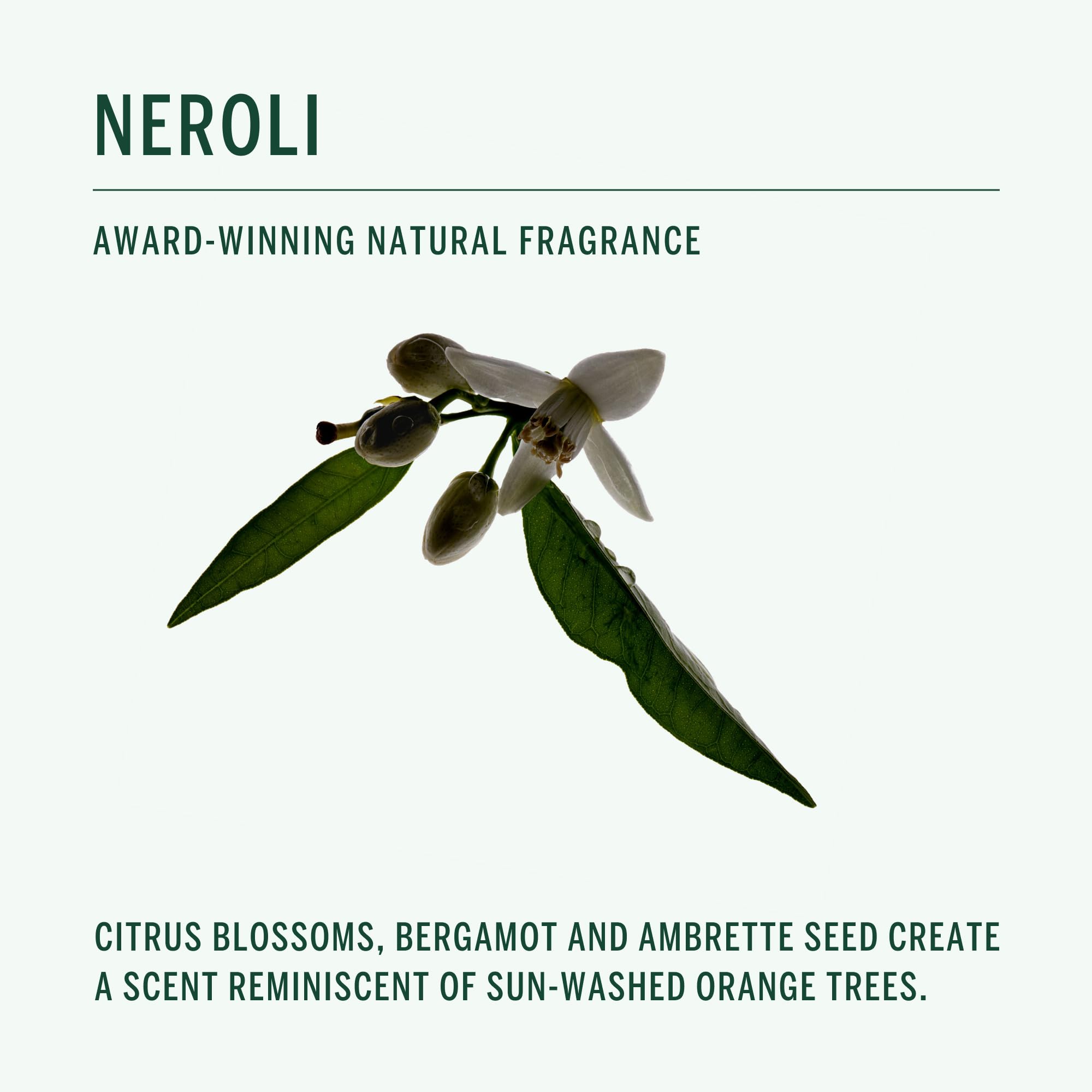 Corpus Neroli deodorant on clean, dry skin demonstrates residue-free application for sensitive skin