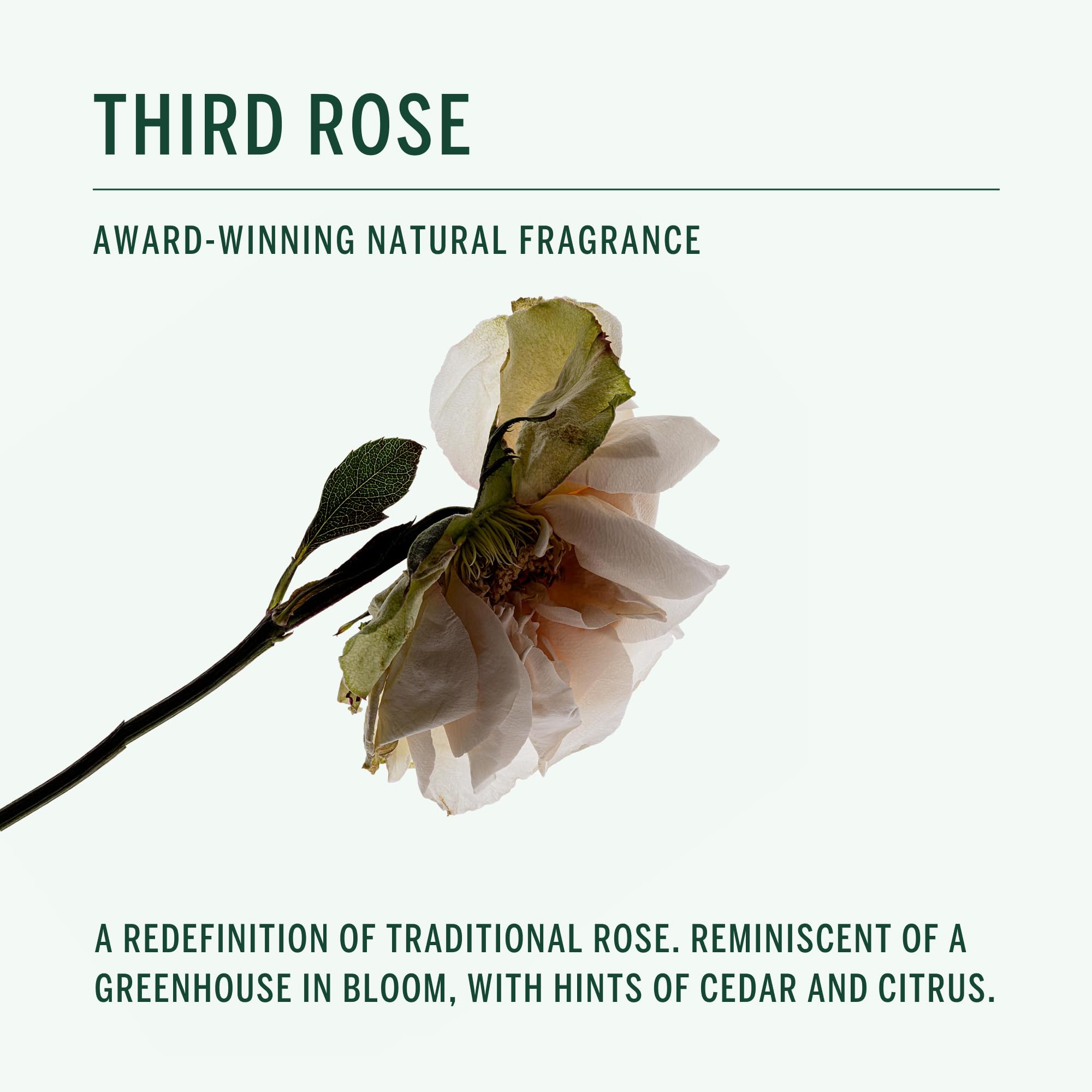 CORPUS Third Rose eco packaging highlights recycled materials and reduced waste.