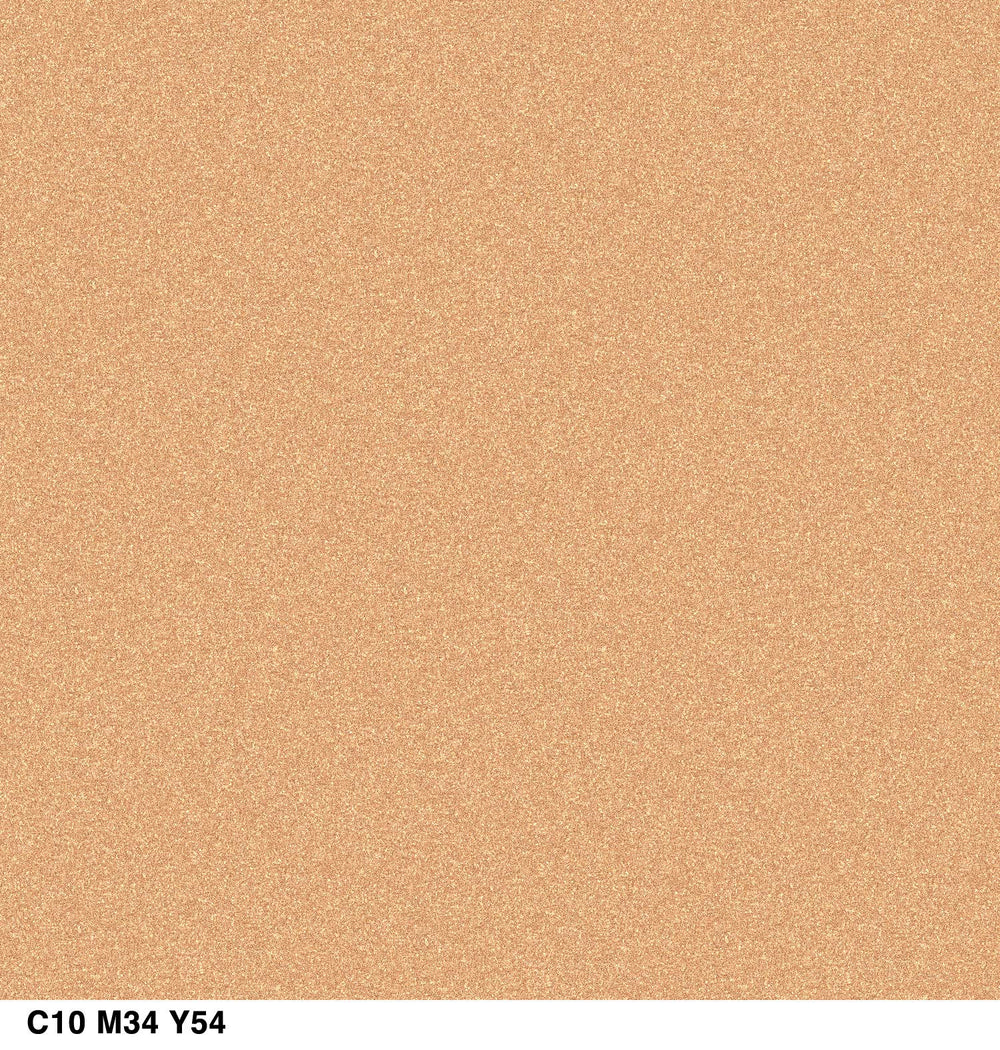 CoverGirl truNaked Sunshine Escape applying look showing easy, transition-ready eye color.