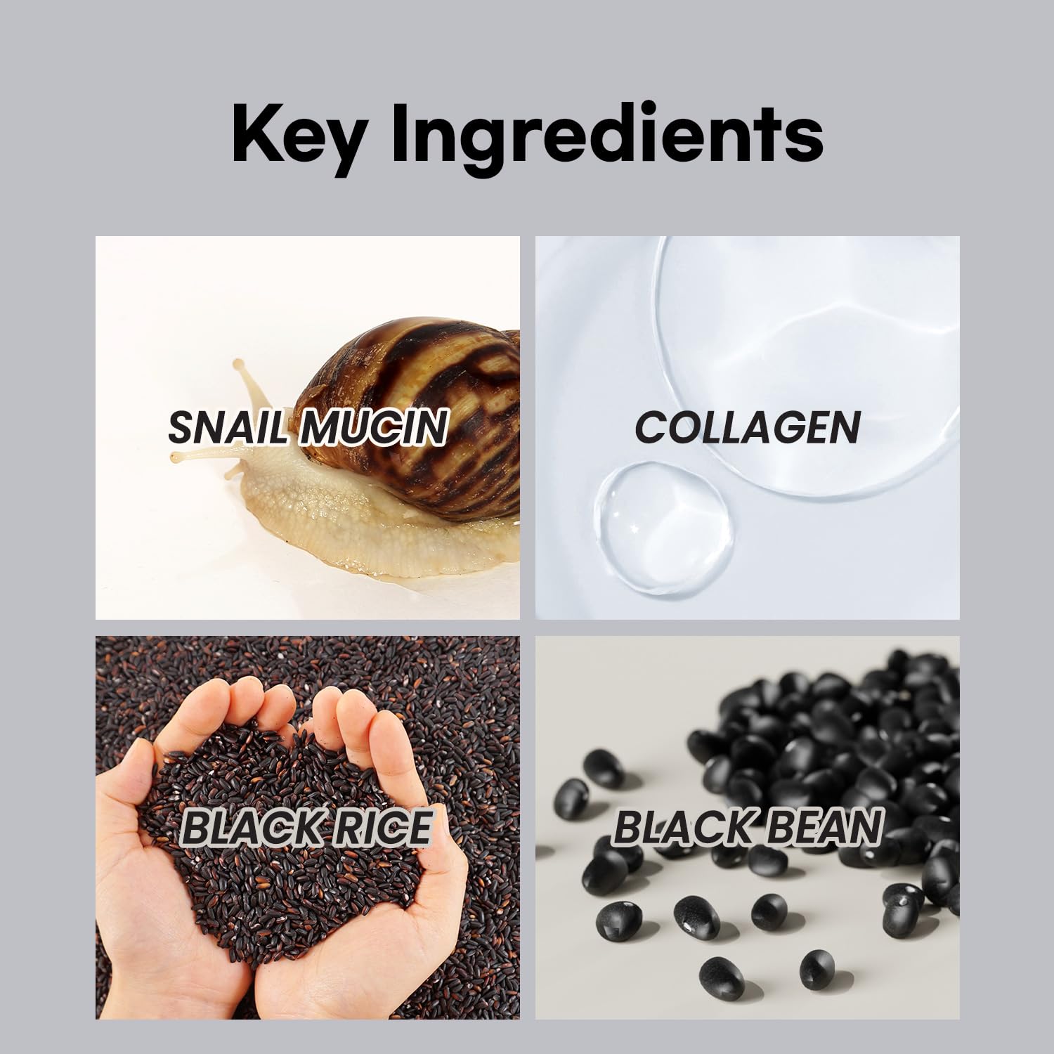 coxir Black Snail Collagen Starter Kit packaging closeup: premium gift-ready presentation.