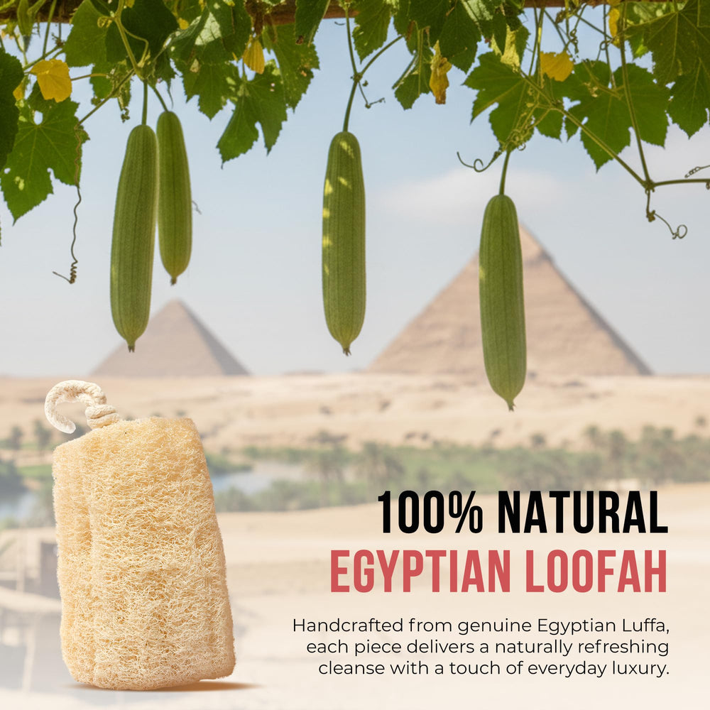 CraftsOfEgypt loofah suitable for face back and body exfoliation.