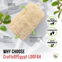 CraftsOfEgypt loofah-6x6-size demonstrates large body coverage for efficient cleansing.