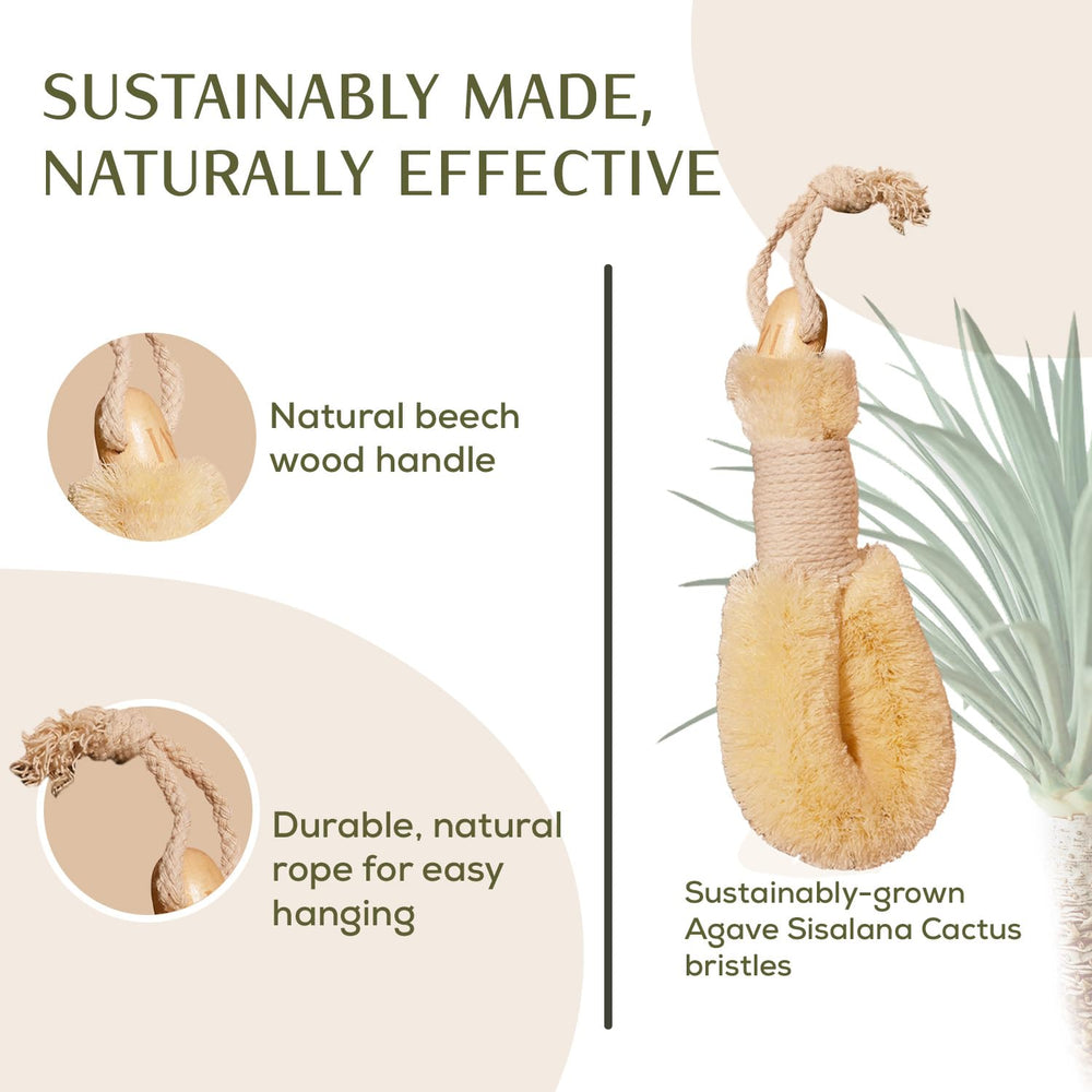 CSM Agave dry brush cellulite-tone action may support contour appearance