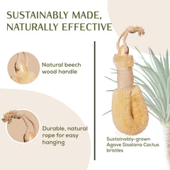 CSM Agave dry brush cellulite-tone action may support contour appearance