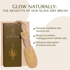 CSM Agave dry brush lymphatic-drainage stroke supports circulation