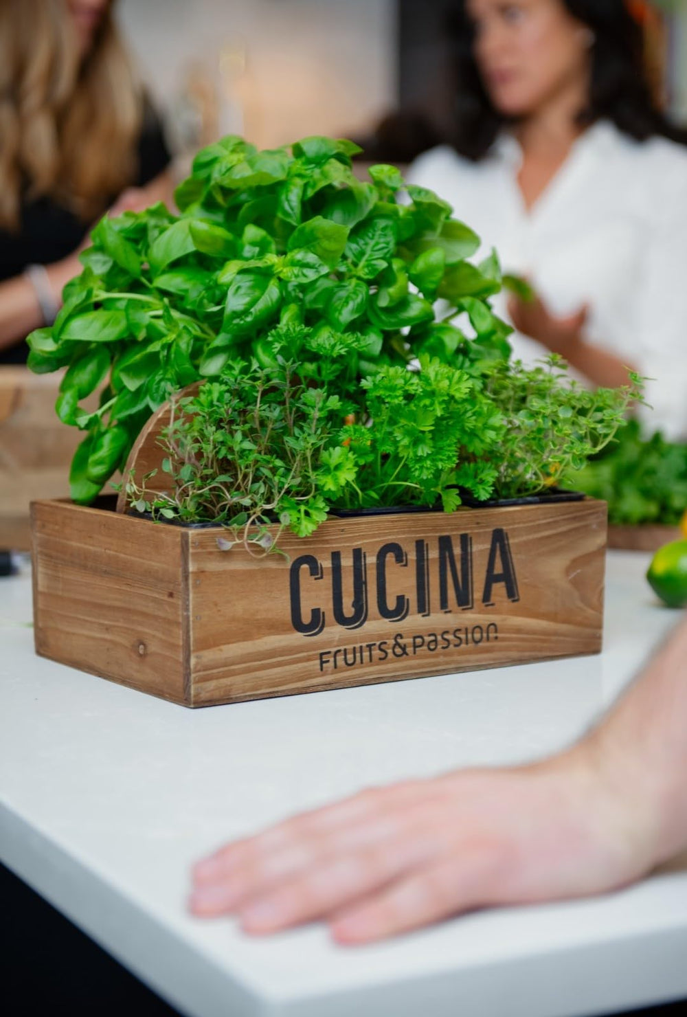 Cucina olive oil hydration on skin demonstrates moisturizing formula during frequent washing.