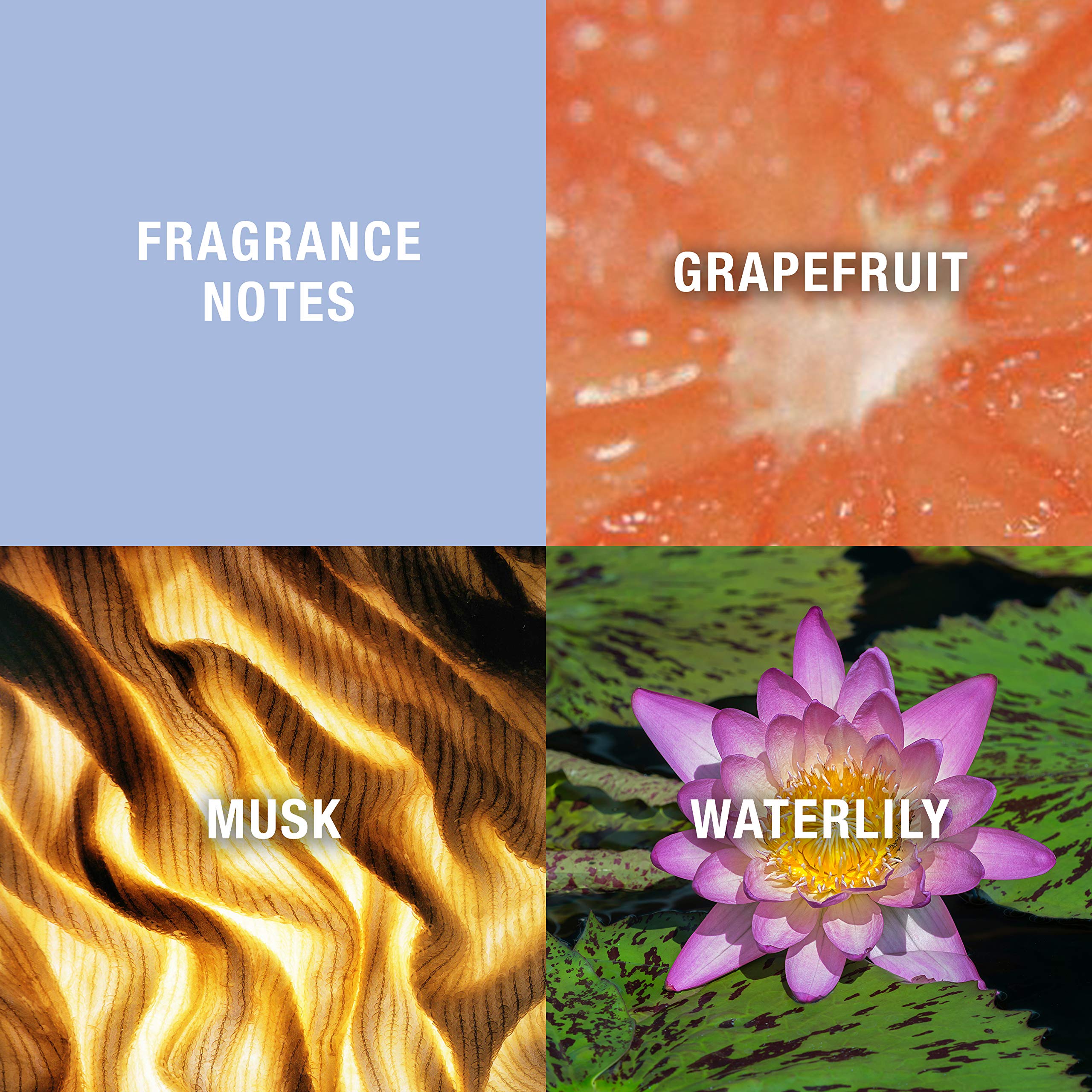 Curve Eau De Toilette packaging box highlights gift-ready stocking-stuffer presentation.