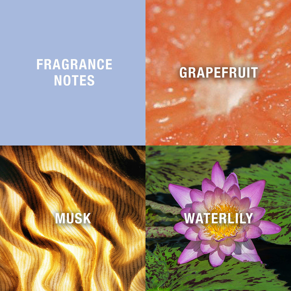 Curve Eau De Toilette packaging box highlights gift-ready stocking-stuffer presentation.