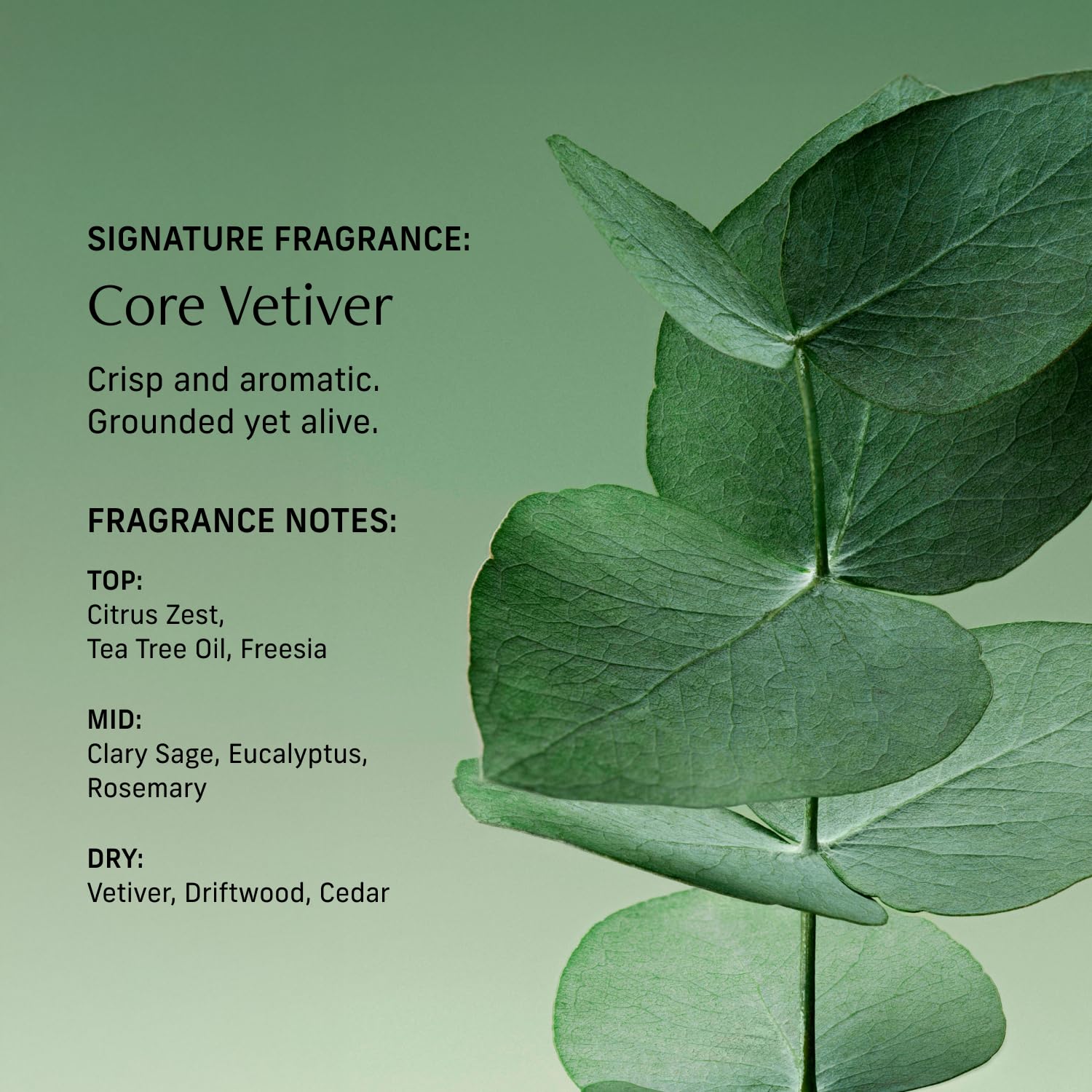 CYKLAR Citrus zest top notes for a bright opening