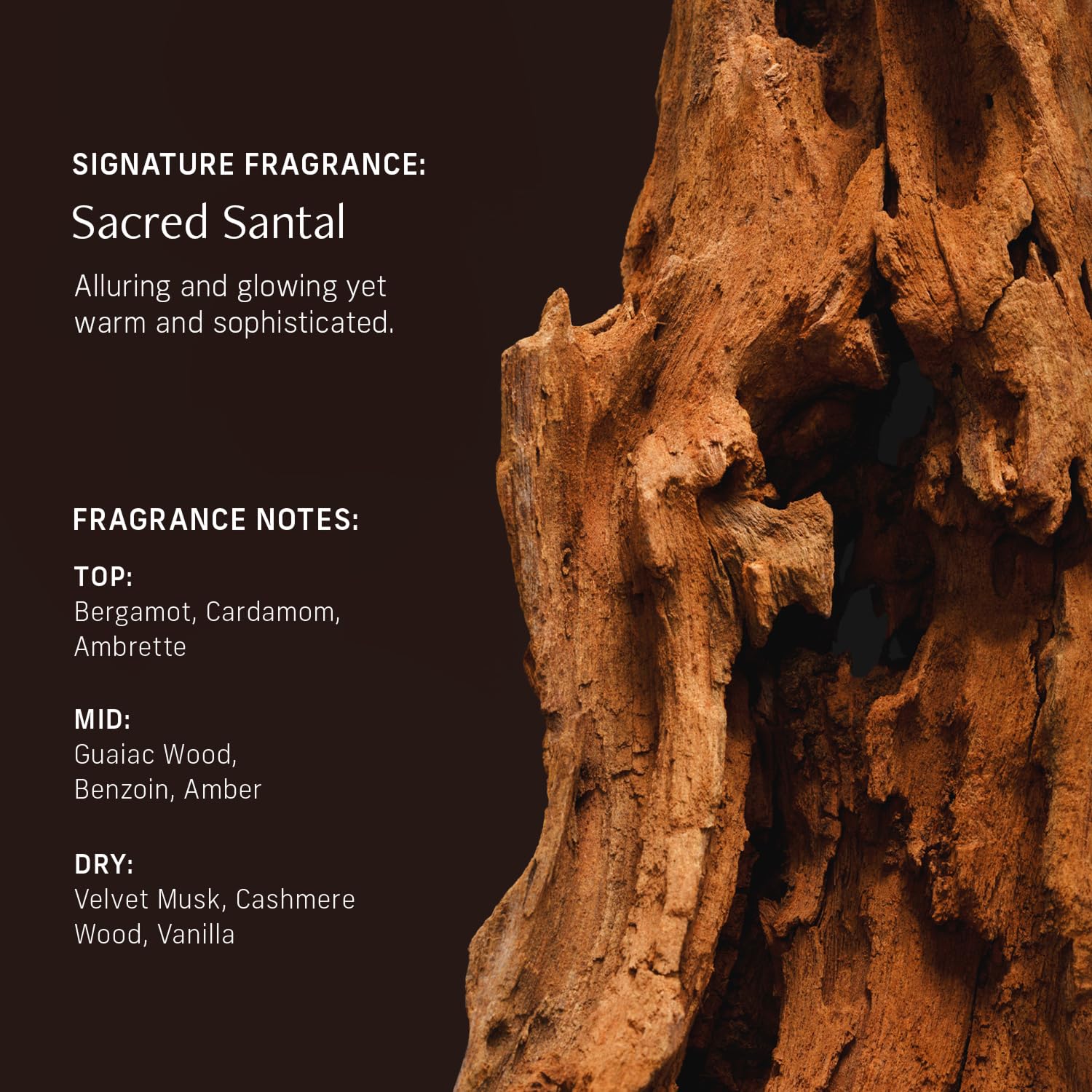CYKLAR Niacinamide texture closeup suggests even tone and refined surface.