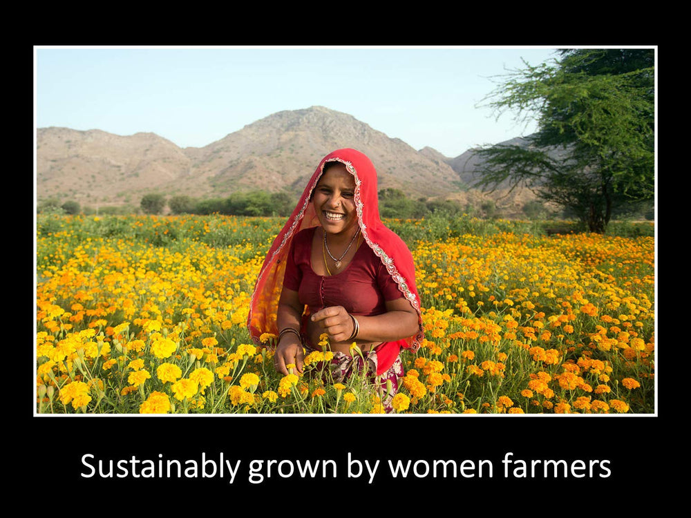 DAANA mustard oil sourced from women-led fair-trade farms.