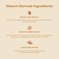 DAE Monsoon Moisture Mask cactus flower extract emphasizes elasticity support