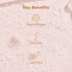 DAE Prickly Pear Hair Oil application on damp hair improves detangling.