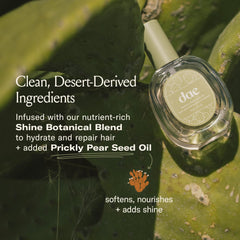 DAE Prickly Pear Hair Oil drops application demonstrates quick absorption for frizz control and hydration.