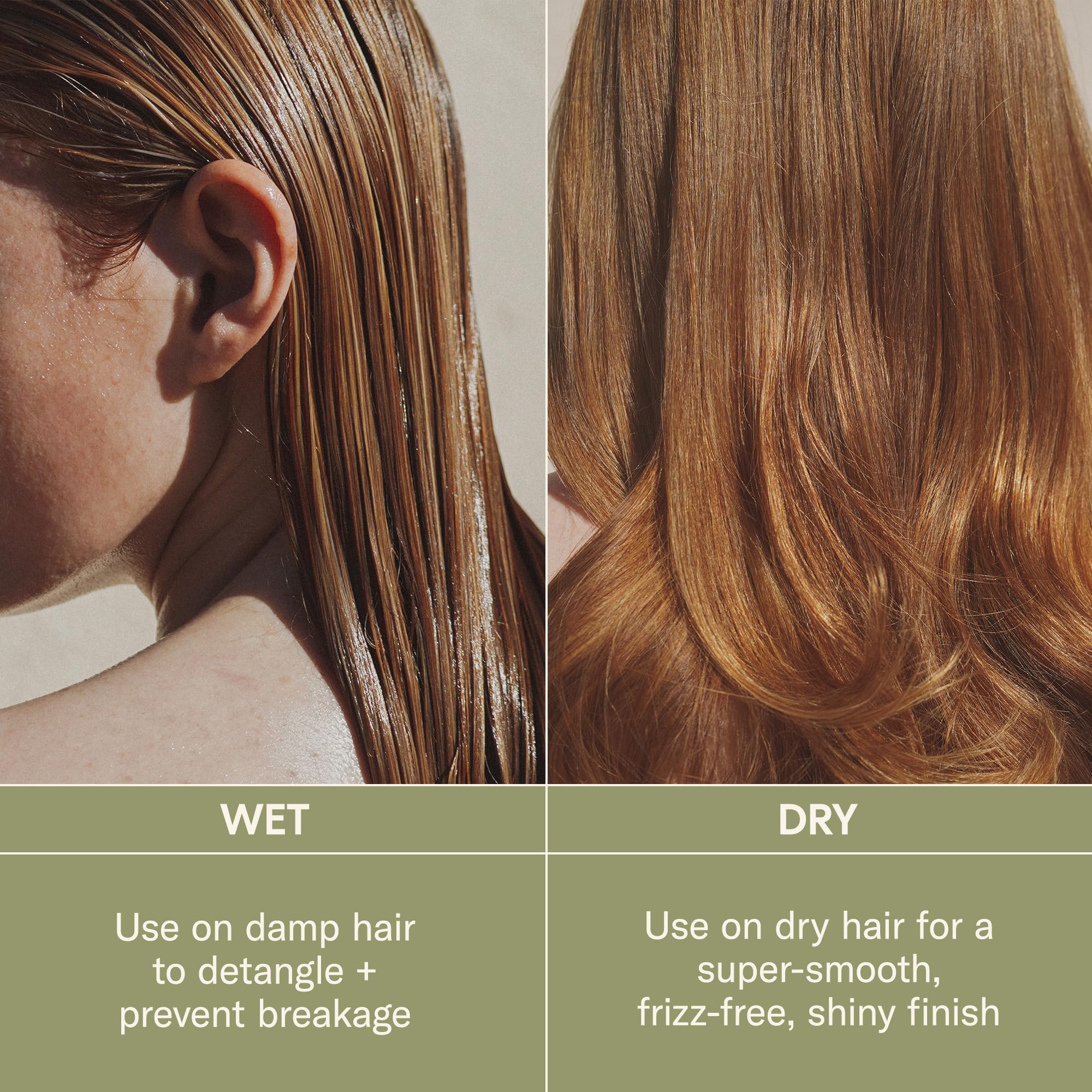 DAE Prickly Pear Hair Oil ingredient spotlight features daisies, moringa, and prickly pear for healthier-looking hair.