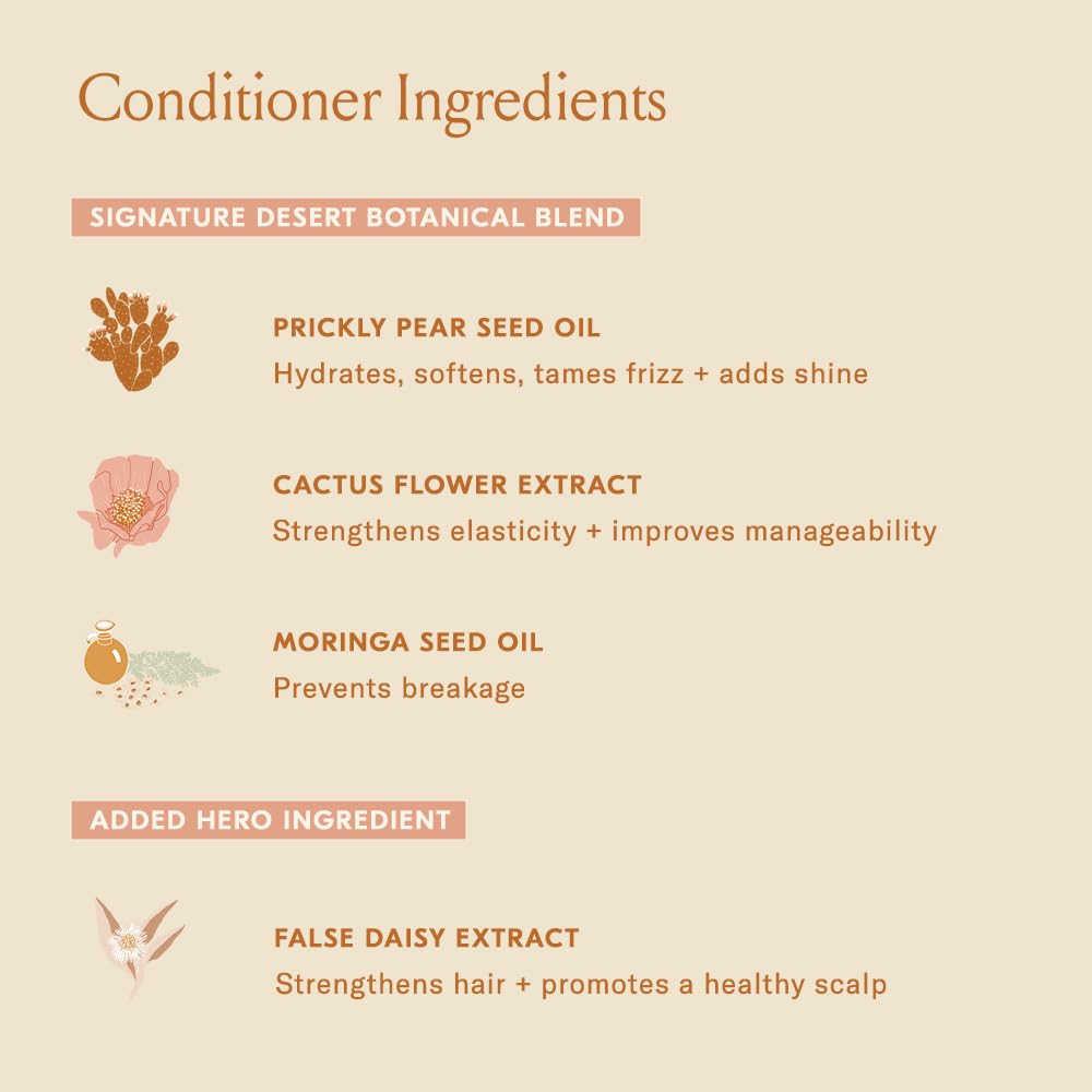 DAE Signature Duo on color-treated hair demonstrating color-safe formula.