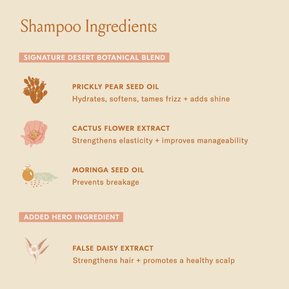 DAE Signature Duo Conditioner application on wet hair from mid-lengths to ends.