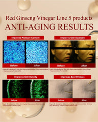DANAHAN Bonyongo Red Ginseng Vinegar Toner ingredients graphic shows fermented ginseng benefits.