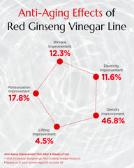 DANAHAN Bonyongo Red Ginseng Vinegar Toner texture shot suggests quick absorption.