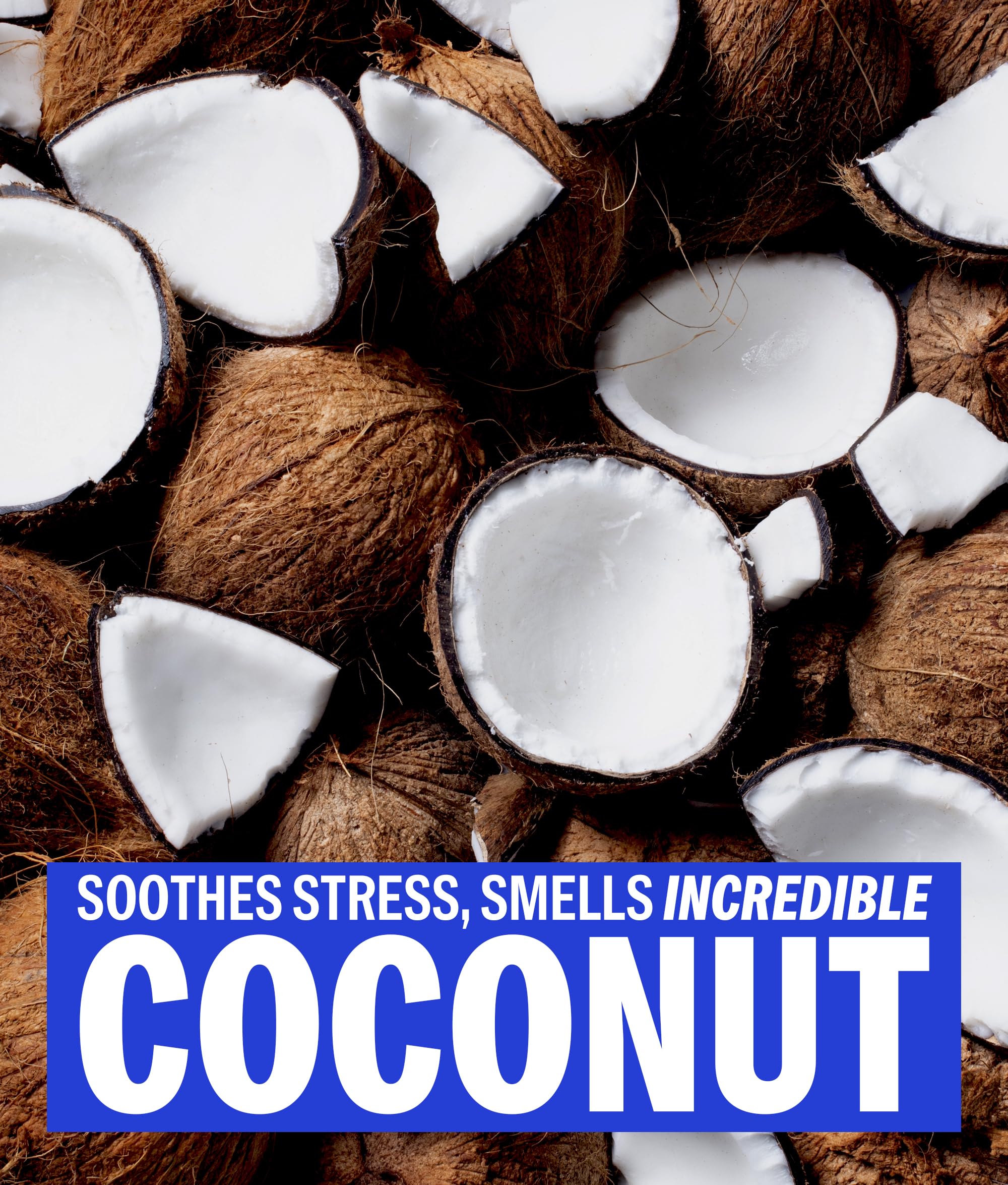 DASHU Ultra Holding Power Wax packaging front showcases brand and coconut fragrance.