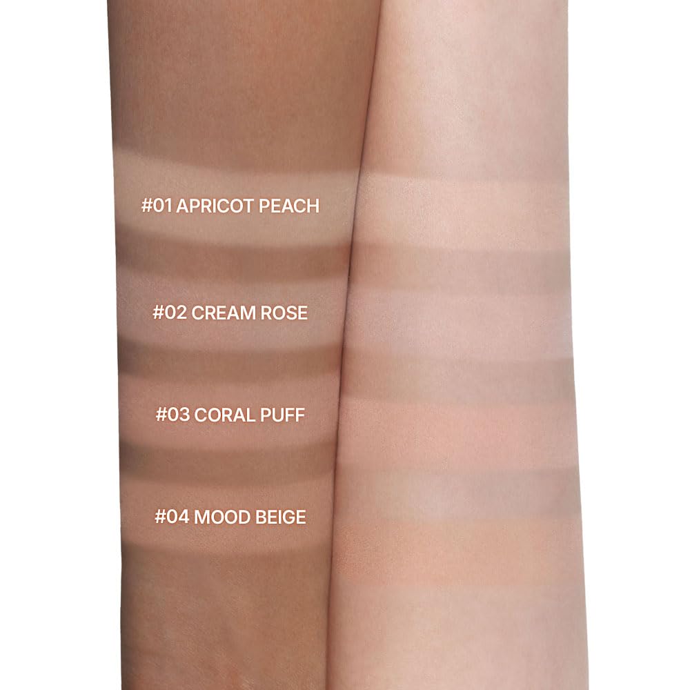 Dasique Blending Mood Cheek 01 packaging closeup highlights portable design for on-the-go touchups.