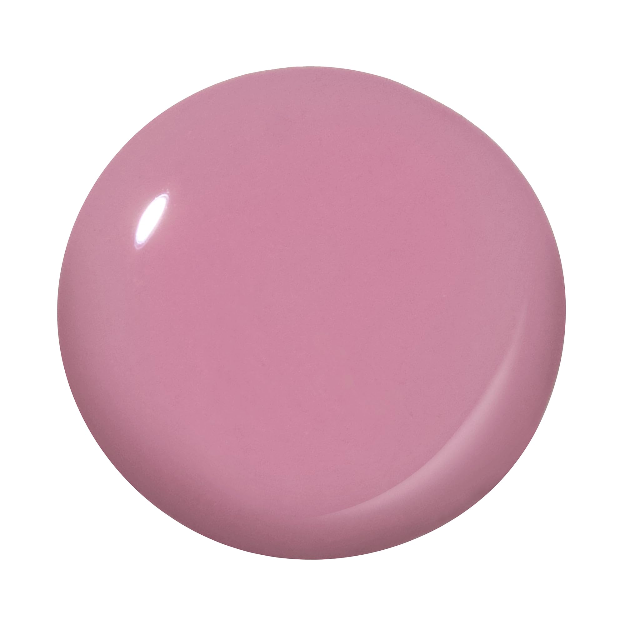 Dazzle Dry quick-dry application brush enables precise, mess-free color in minutes.