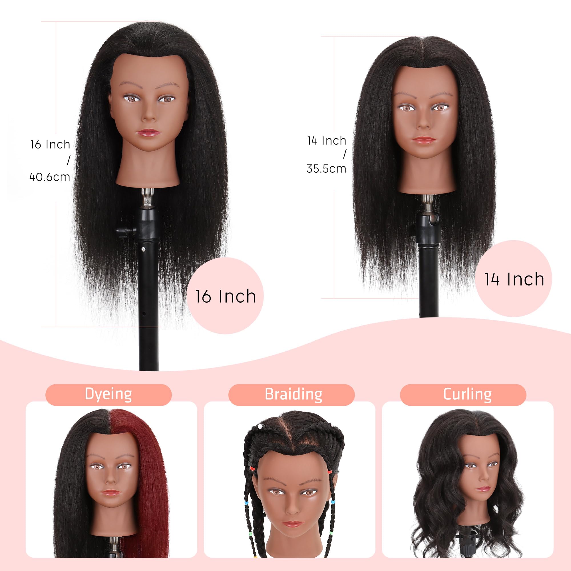 Demides cosmetology head hair styling kit demonstrates versatile practice on real hair