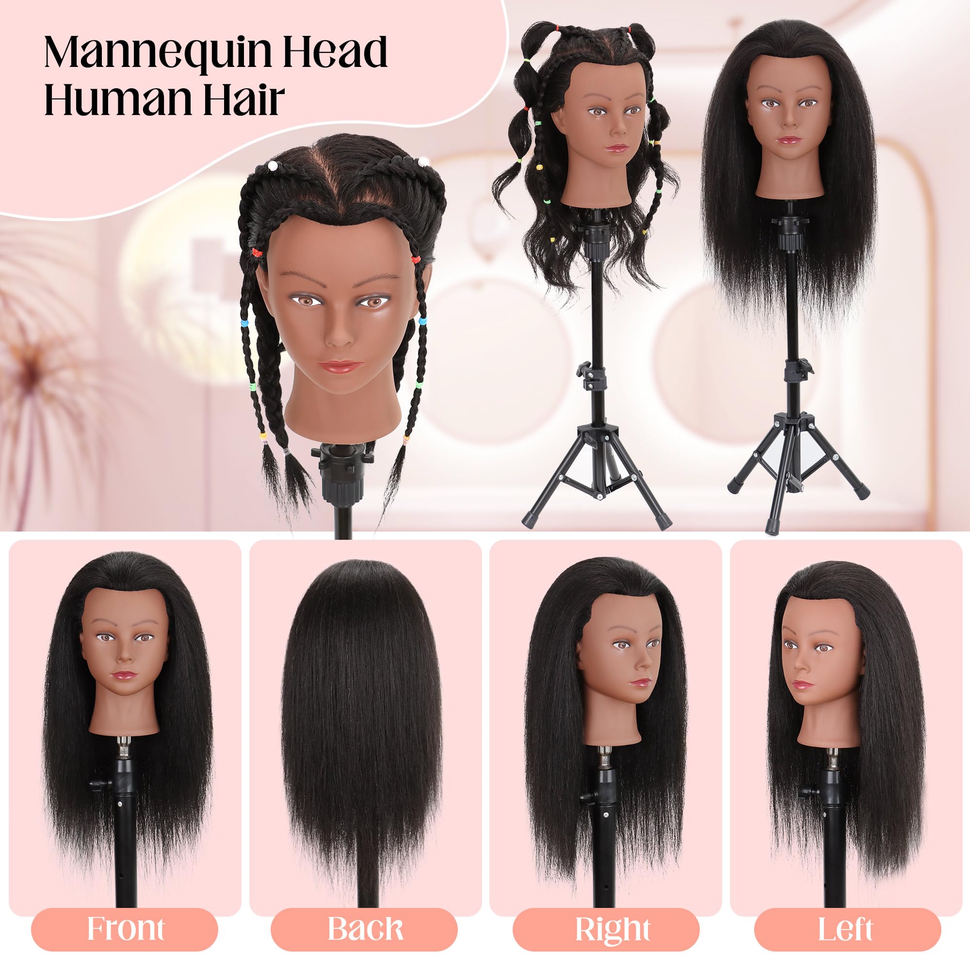 Demides mannequin head bleaching styling dyed closeup highlighting color-testing techniques